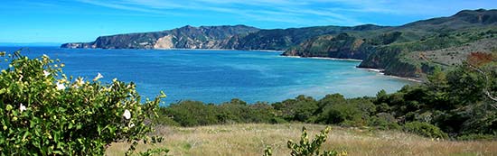 Pelican Trail, Santa Cruz Island
